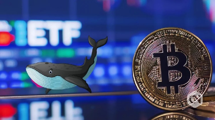 Bitcoin ETFs Record $723M Inflows in 5 Consecutive Days