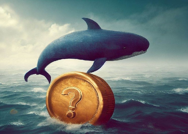 A Chinese Whale May Have Made Another Large Purchase of an Altcoin That Has Surged Incredibly in Recent Days