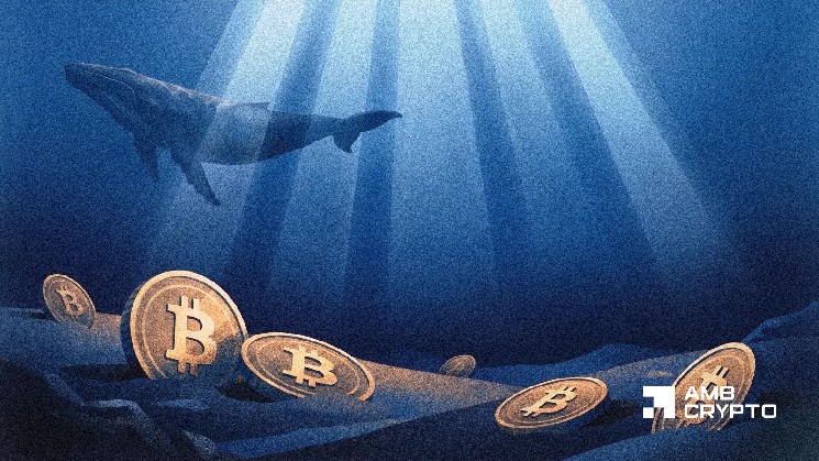 Bitcoin exchange inflows fall 15.5% as whales pause near $79K: Is demand falling?