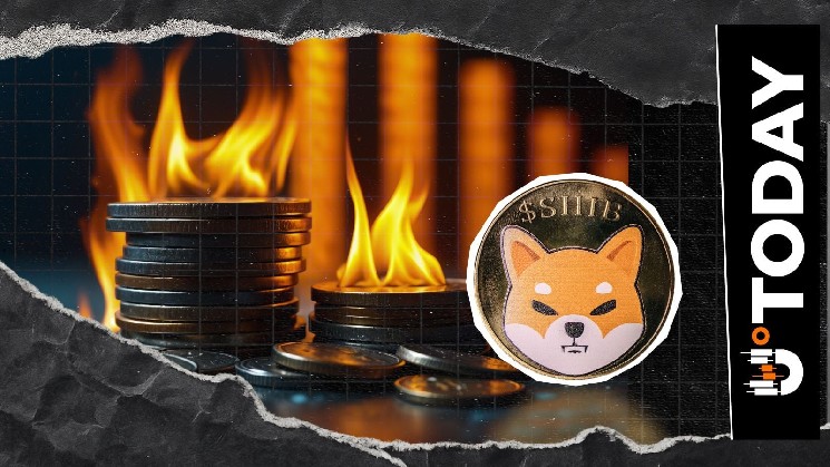 Rare $0 Day Hits Shiba Inu