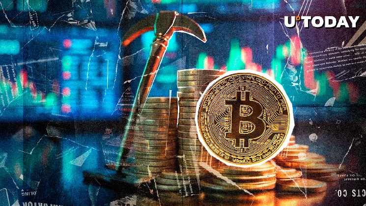 Bitcoin Slips Below $77K as Fed Hike Odds Surge