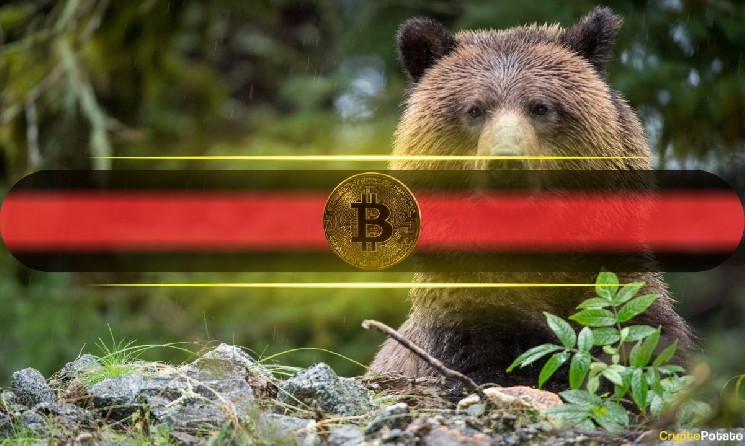 Bitcoin Could Drop to $39K Before Bottom, Analyst Warns