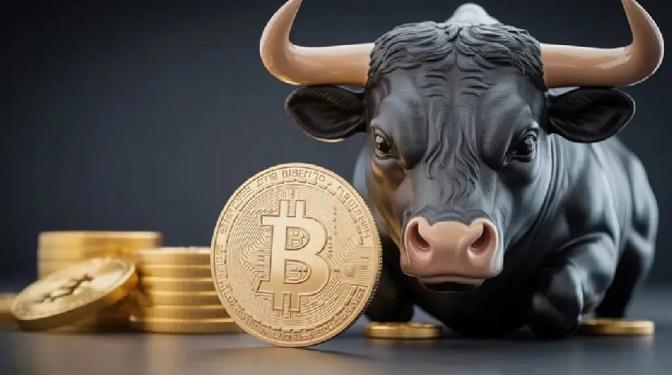 “The Bottom Hasn’t Been Fixed, the Bull Market Hasn’t Started” Here’s Why