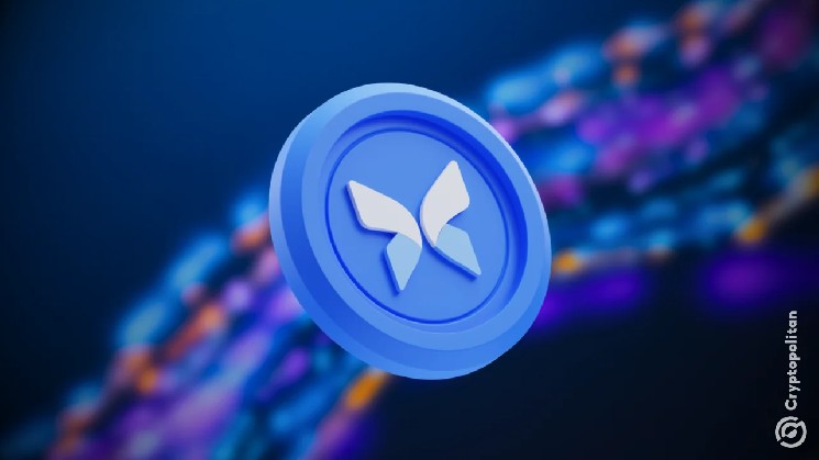 Morpho halves Aave’s lending lead as outstanding loans hit $5B record