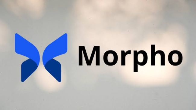 Morpho Blames AI Marketing Tool for Deleted Post Saying Its Own Curator Business Model is Broken