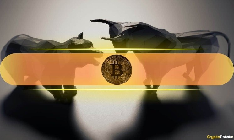 Analyst Says Bitcoin UTXO Data Points to a Cycle Shift