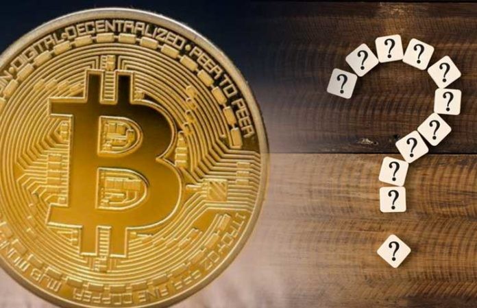 “Recovery is Real, But Profit-Taking is Imminent!”
