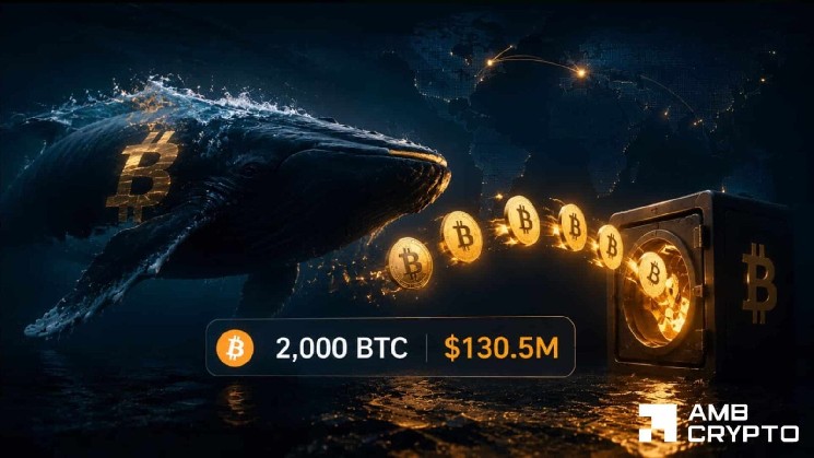 Will a $130.5M whale move derail BTC’s push toward $70K?