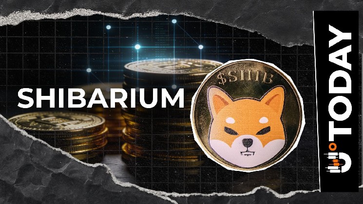 Shibarium Reorg Fixed as Shiba Inu Team Outlines Road Ahead