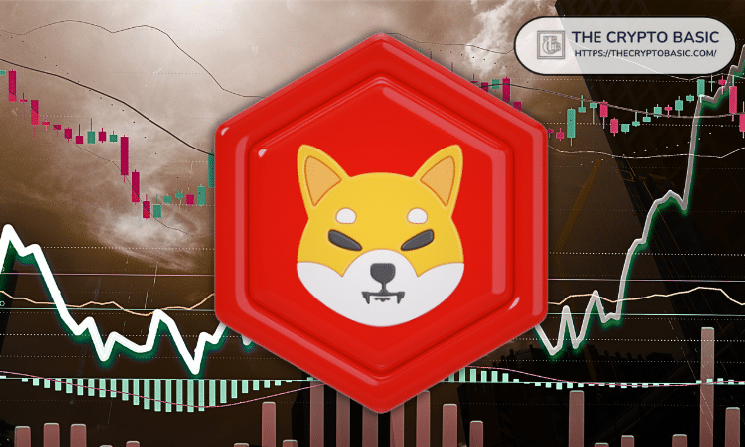 125,334,083,223 Shiba Inu Tokens Leave BitGo for Newly Created Wallet