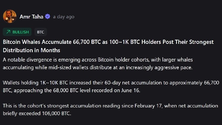 The Dramatic Shift in Bitcoin Ownership Splitting the Market