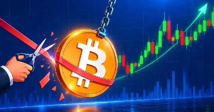 Bitcoin’s 4chan Prophecy Called the 2025 Top – Now It Targets the Bottom