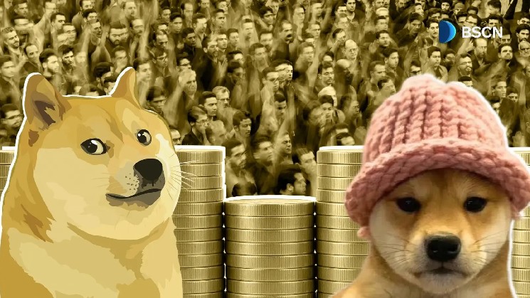 Two Dog Coins, Two Generations