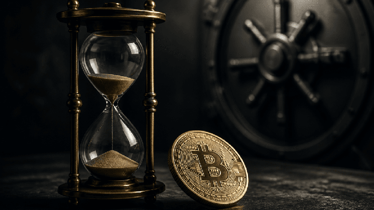 What VET Holders Should Check Before the Hardfork