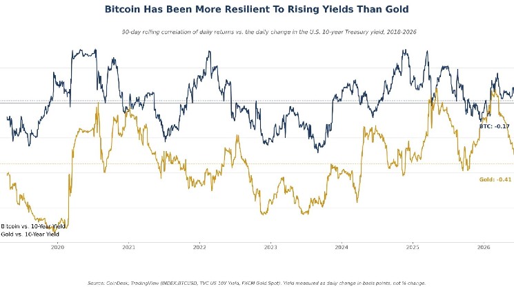 Bitcoin blinks less than gold when Treasury yields move
