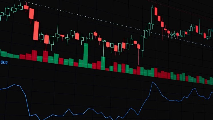 SpaceX’s Bitcoin Holdings Under Question as Coinbase Raises