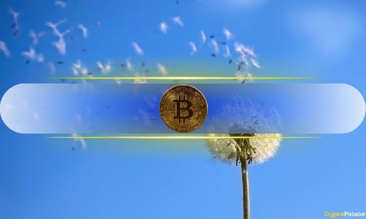 Bitcoin’s Breakout and Retest Signal All Is Well