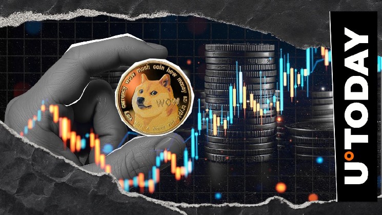 DOGE Director Highlights ‘Avalanche’ of New Projects as Dogecoin Infrastructure Expands