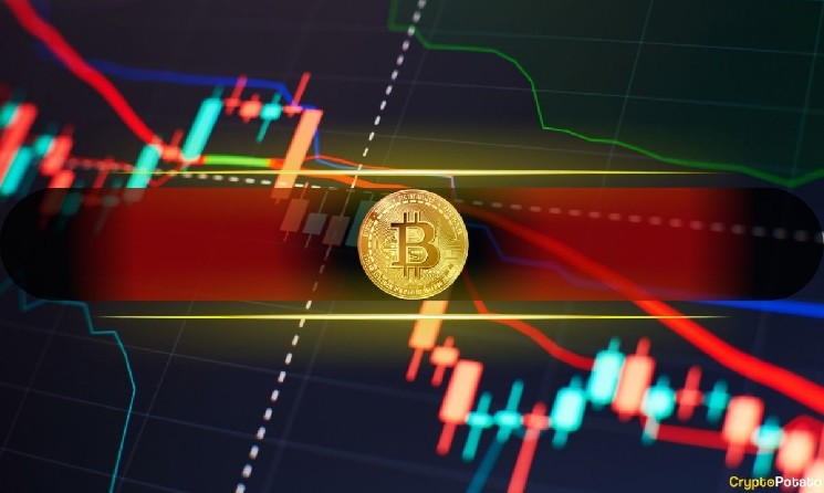 Bitcoin Crashes Below $84K as Crypto Liquidations Near $600M