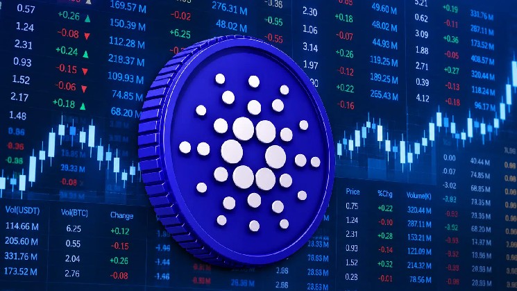 Cardano Transaction Activity Surges as Daily Transactions Hit 7-Day High