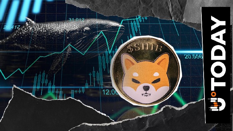 125.3 Billion SHIB Moved to Fresh Wallet as Whale Activity Heats Up