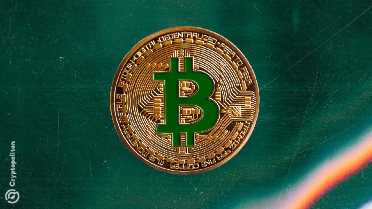 Whale-sized orders offer Bitcoin support level just below $80,000