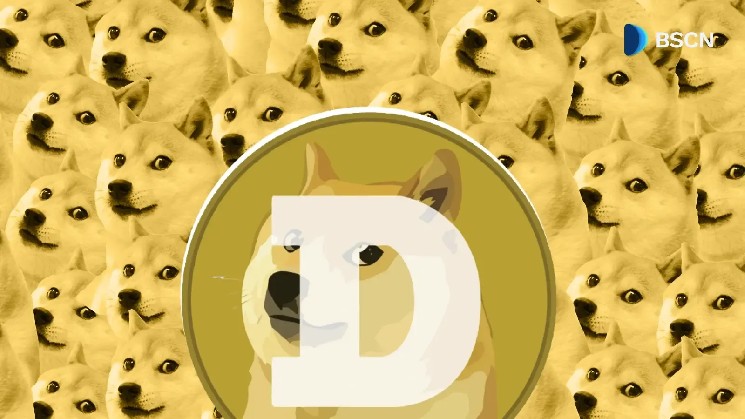 Inside Dogecoin’s Tipping and Charity Culture